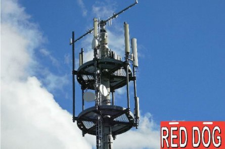 Tower and logo - Red Dog Radios