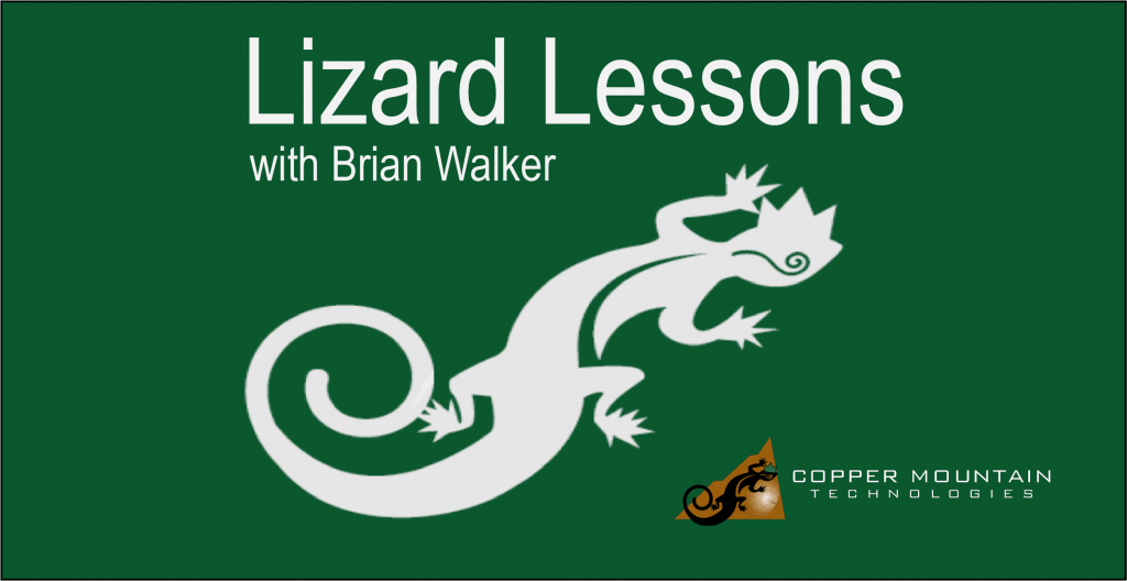 Lizard Lessons Logo Brian Walker V2